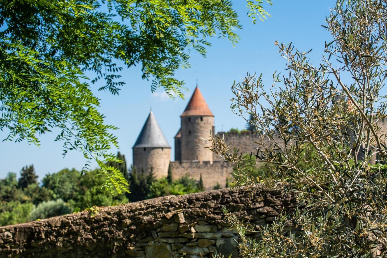 Villa L'écrin de la Cité, Coeur de Vignes Carcasona Exterior foto